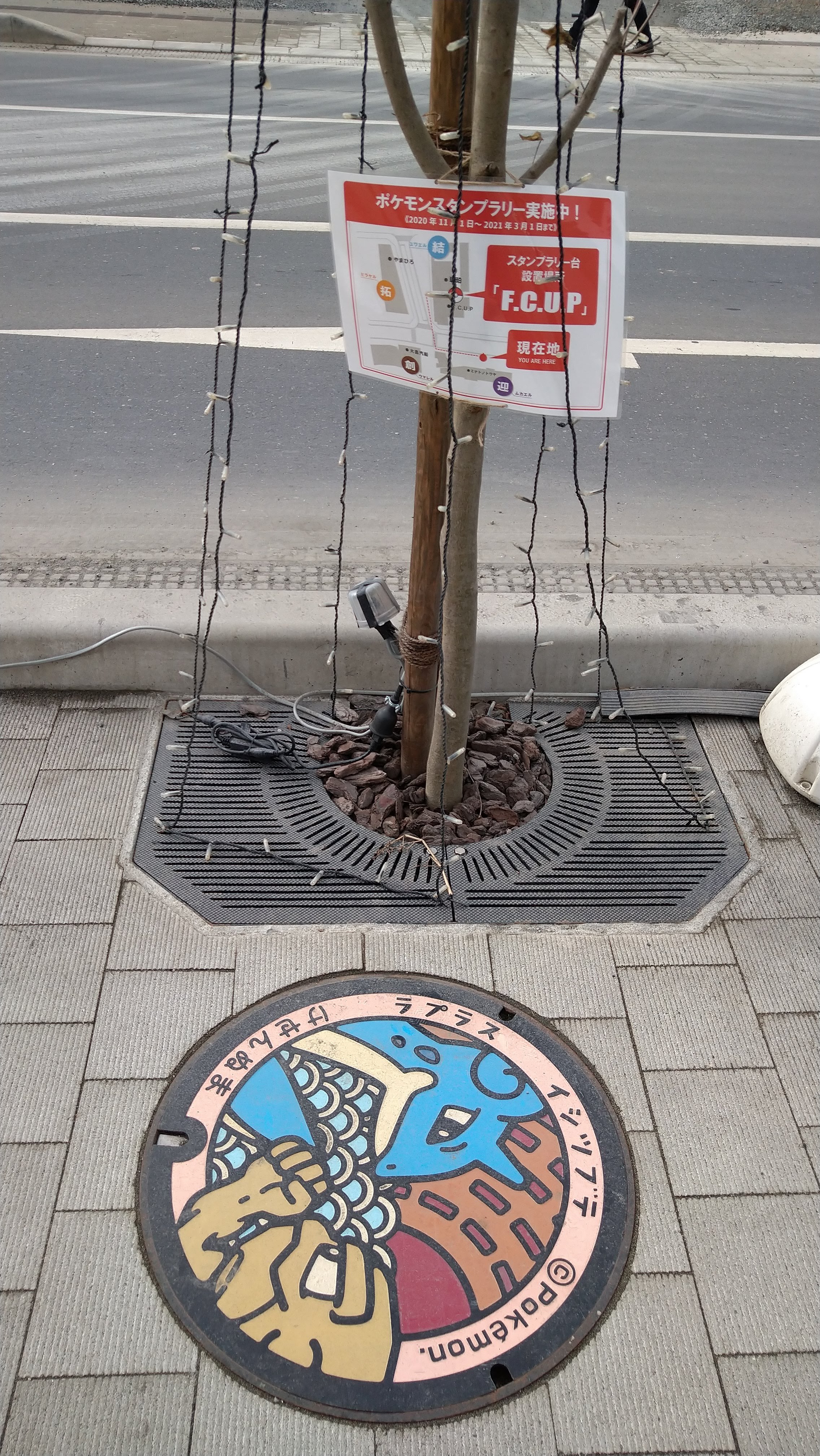 Kesennuma Day Trip 21 City Cost