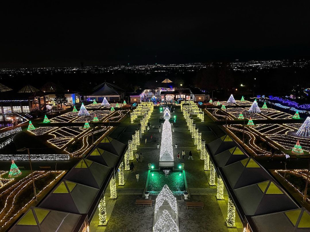 The Illuminated Park　閃光の庭　なかにしけふこ A whimsical illumination at the Gunma Flower Park | City-Cost
