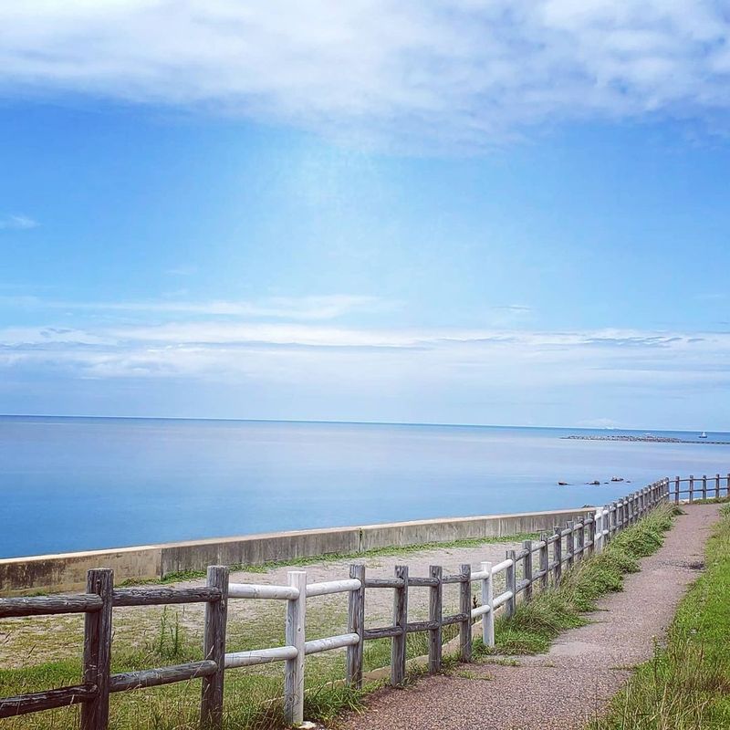 Place Review Aoyama Seaside Park, Niigatashi, Niigata CityCost