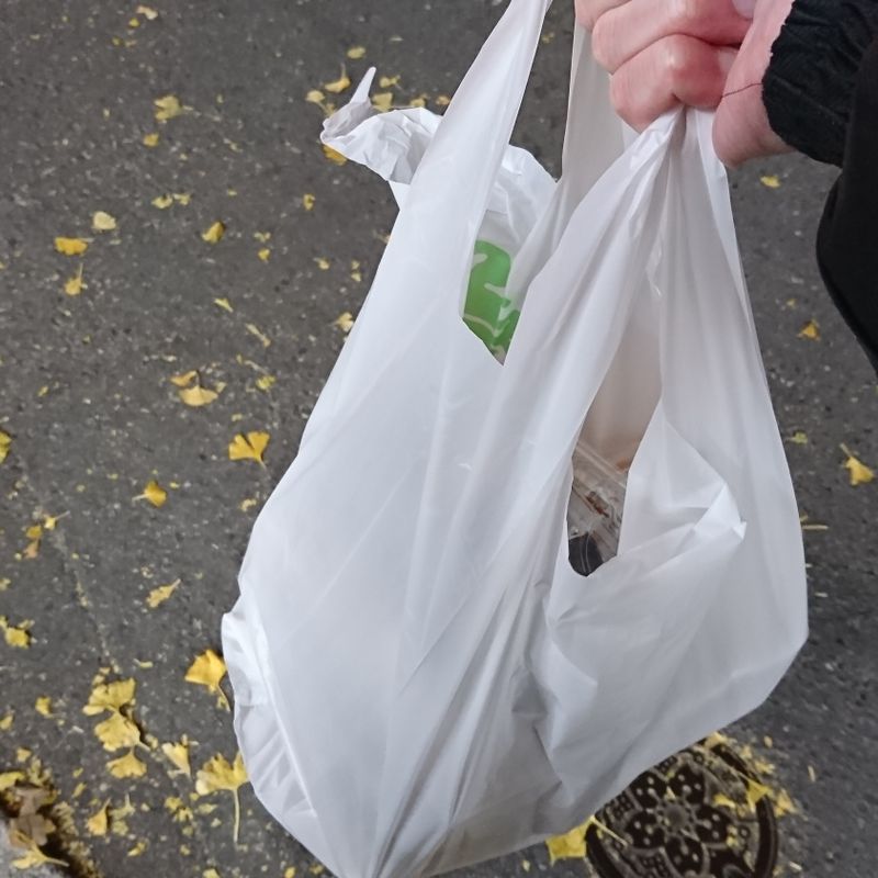 How Much for a Plastic Bag? CityCost