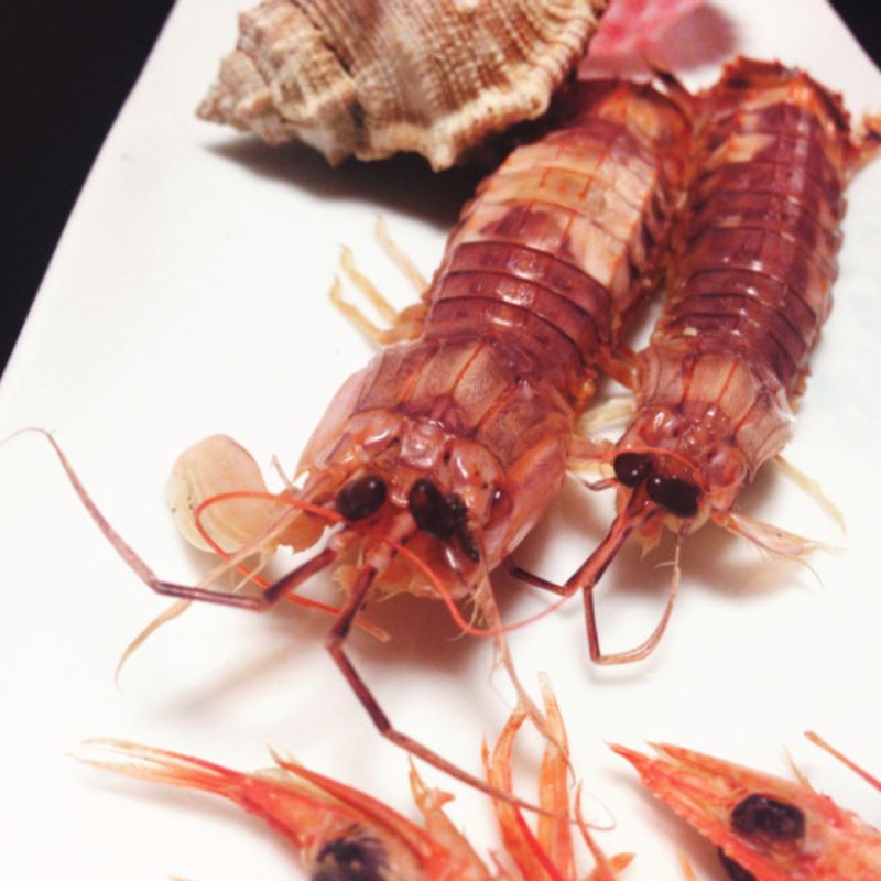 I Ate Crab Brains CityCost