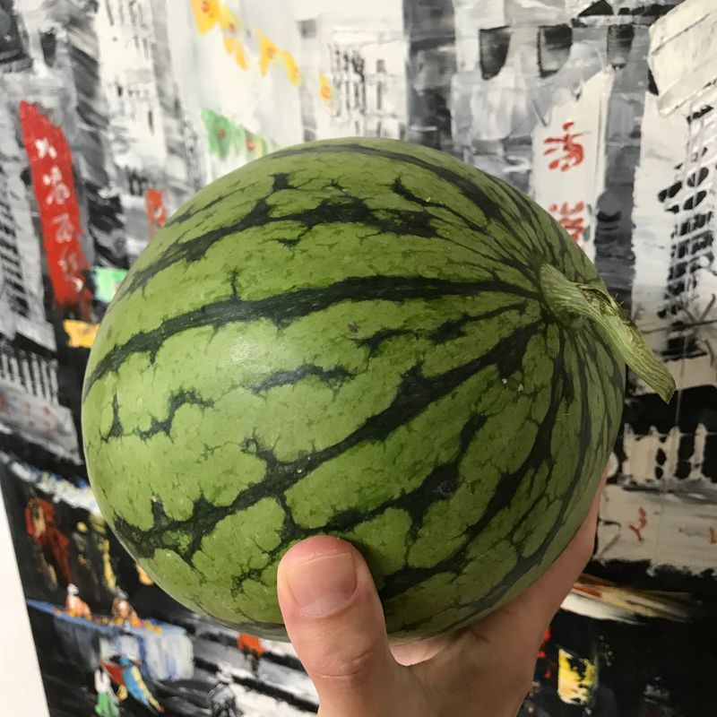 First Watermelon Of The Season City Cost