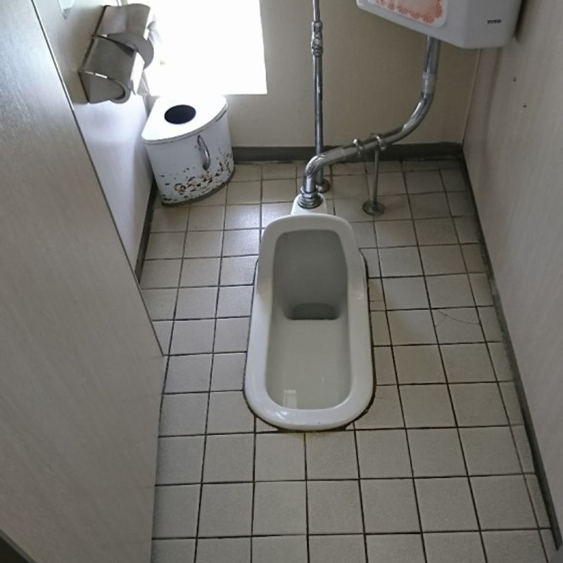 When You Gotta Squat: Squat Toilets and You | City-Cost