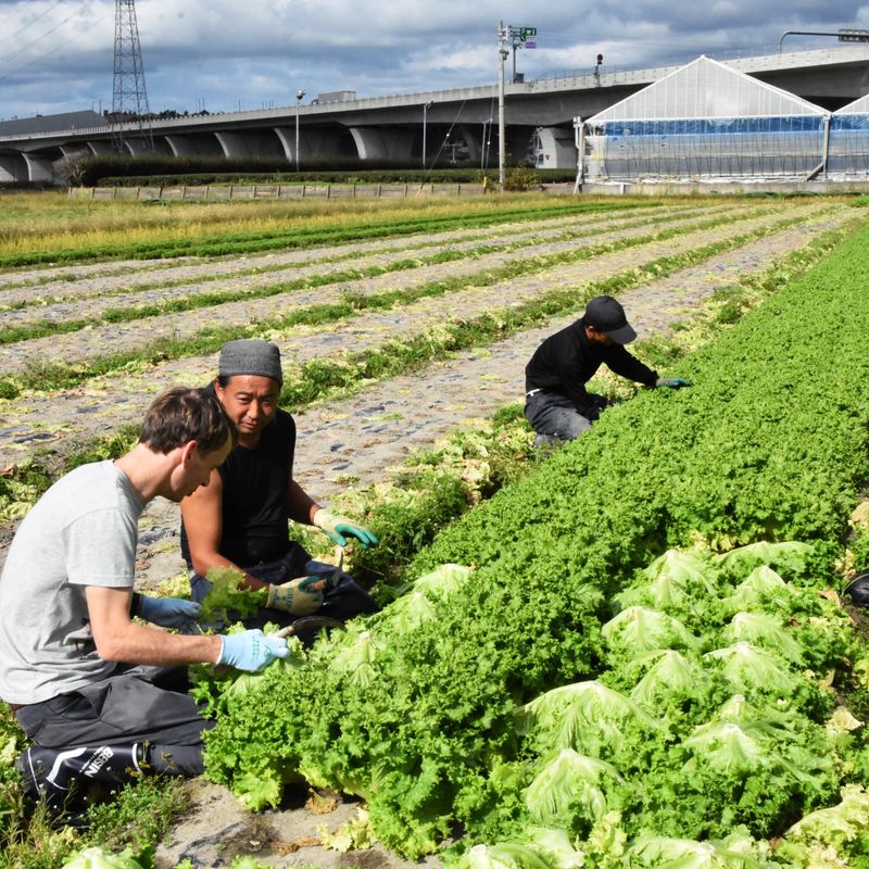 Agricultural experience offers glimpse of promising future for farming