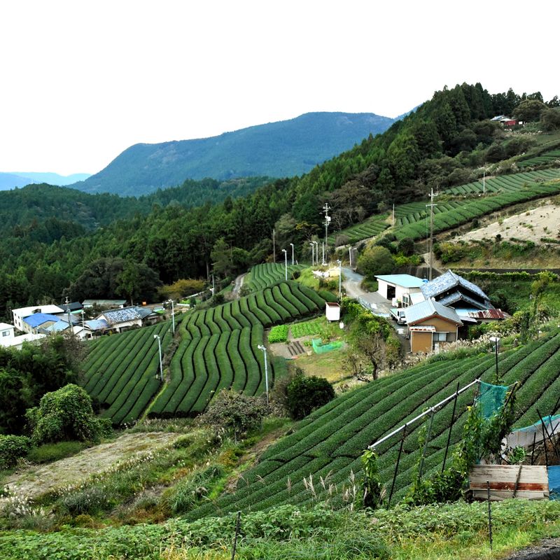 Life in Rural Japan: Lessons learned in the Japanese countryside | City