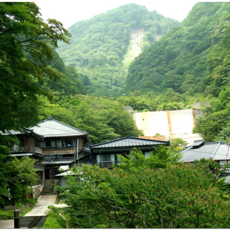 Want To Live In Rural Japan The Countryside Could Do With A Hand City Cost