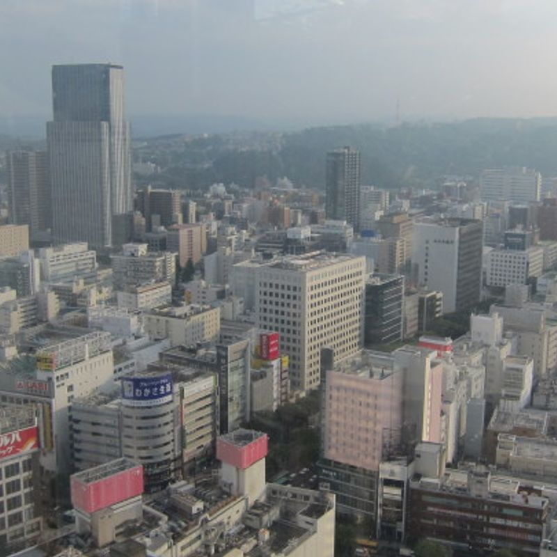 Great view to the Sendai downtown | City-Cost