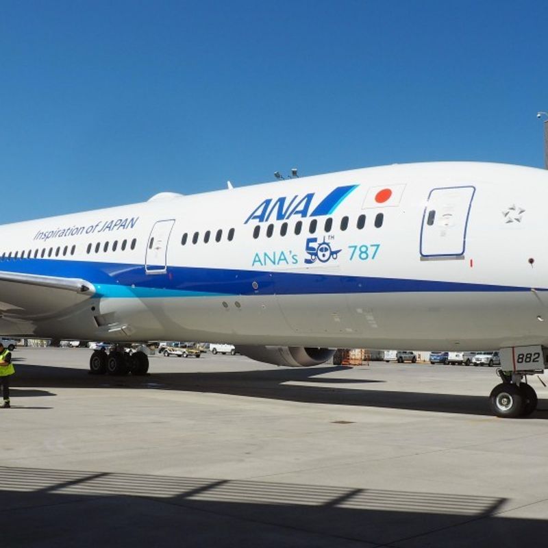 ANA to cancel 330 more domestic flights for engine