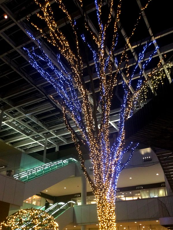 Nagareyama City's 2023 illuminations photo