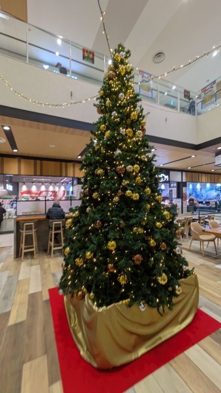 Christmas traditions in Japan: the Christmas tree photo