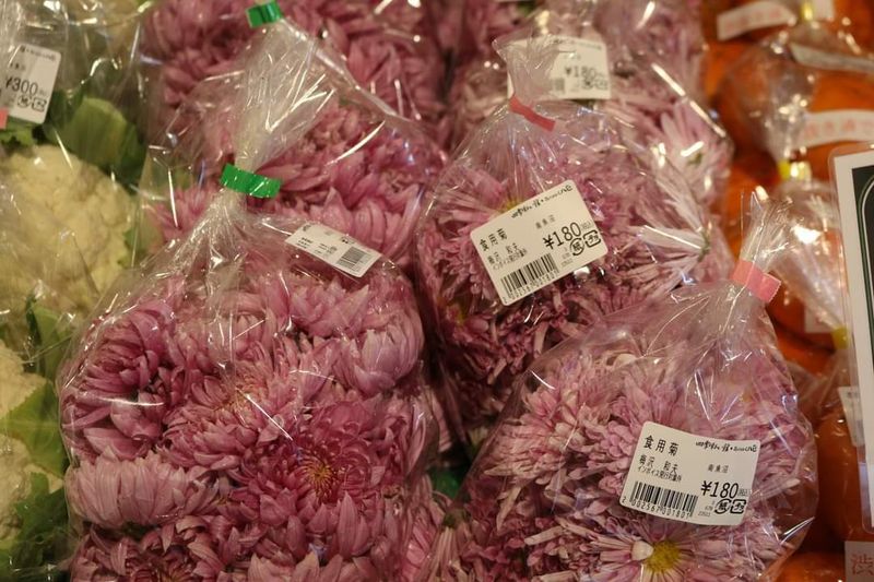 Edible chrysanthemums photo