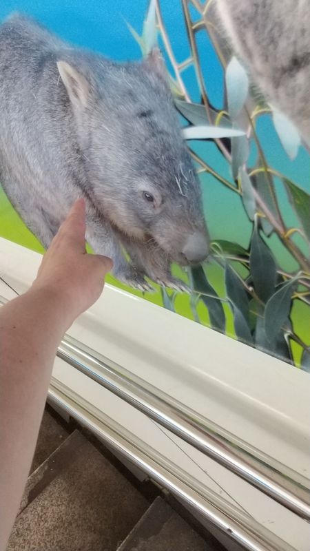 Not Going to the Zoo...Repeatedly photo