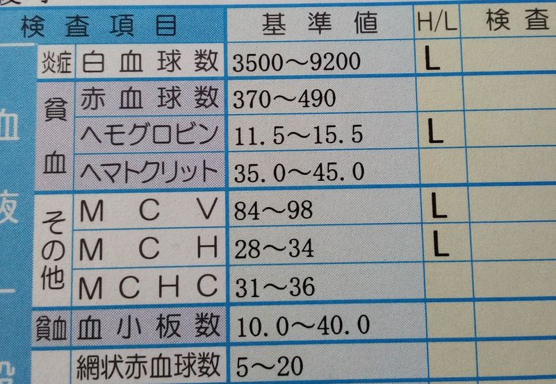 Iron Fortified Foods in Japan photo