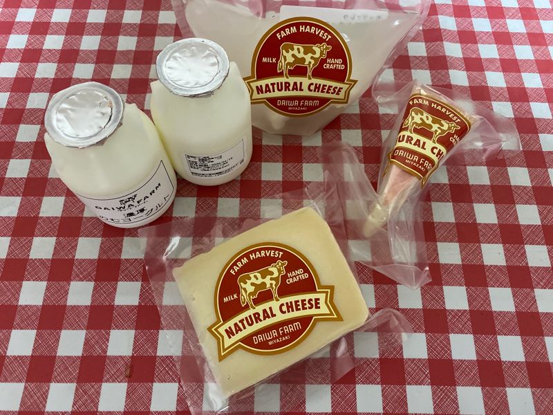 Daiwa Farm Cheese Gift Set from Kobayashi City photo