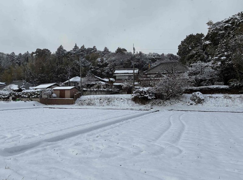 Snowy weekend in Kanto photo