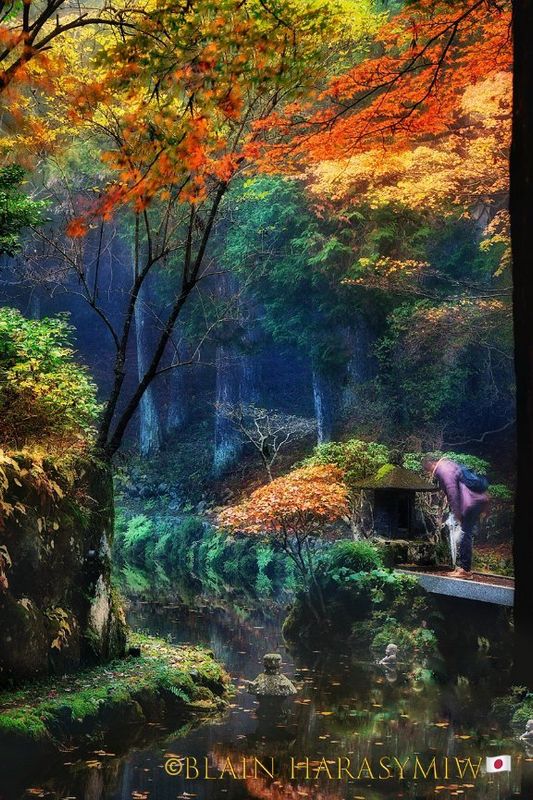 Mt. Fuji & Its Autumn Leaves photo