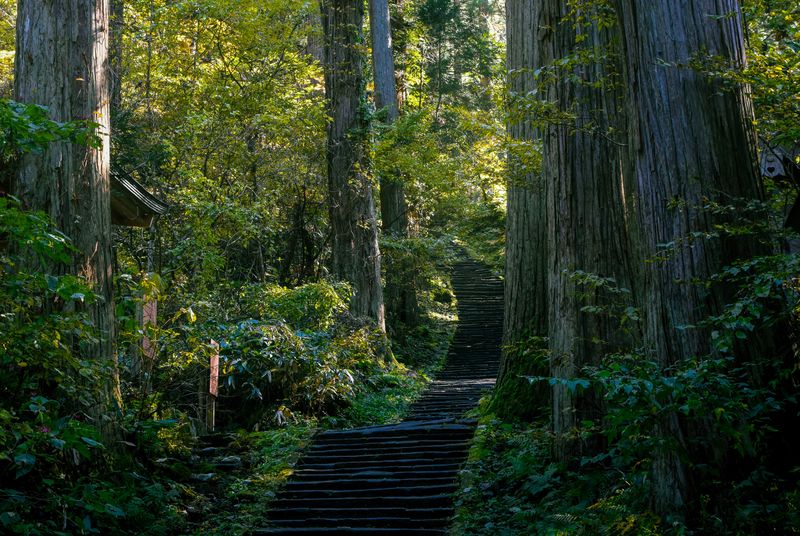 Stairway to rebirth: Taking on the steps of Mt. Haguro, Yamagata photo