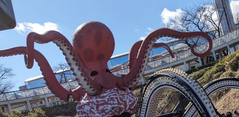 August 8th: A Fitting Day for a Eight-Legged Creature photo