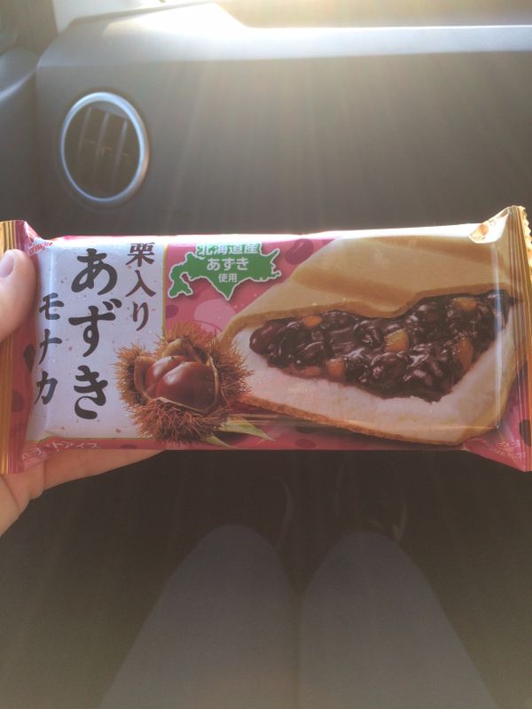 Chestnut Adzuki Monaka Ice Cream!! photo