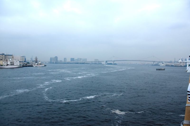 Cruising with Tokyo Bay Nouryousen photo