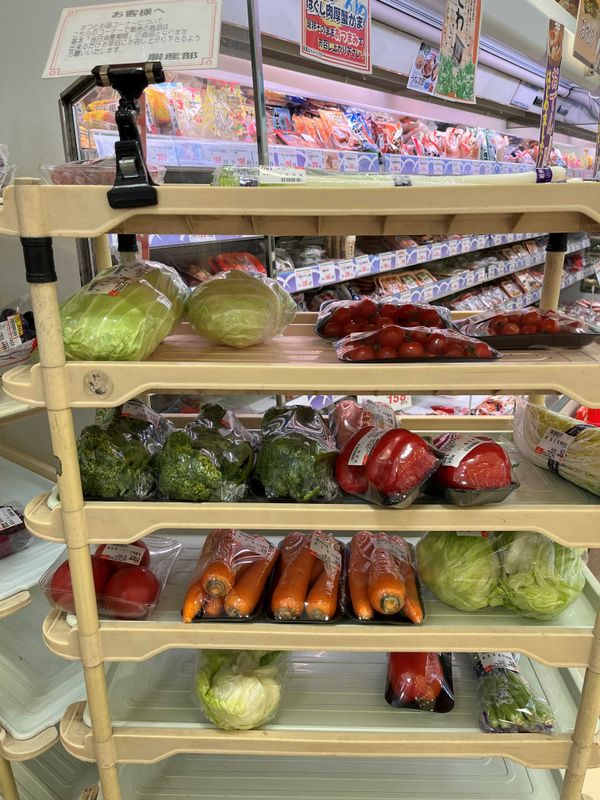 How to shop for groceries in Tokyo; Simple yet Wise Hacks! photo