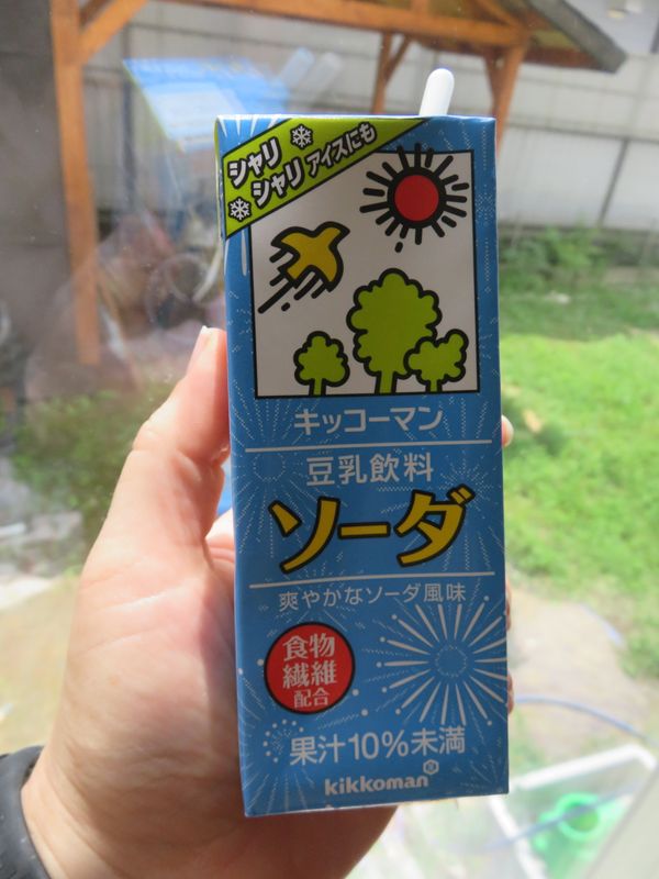 Kikkoman Soy Milk Soda flavor photo