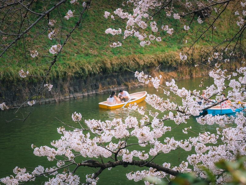 Images of Japan: March 2023 photo