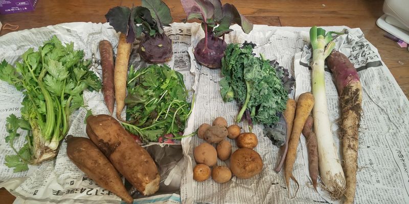 A day for humans and herbs! photo