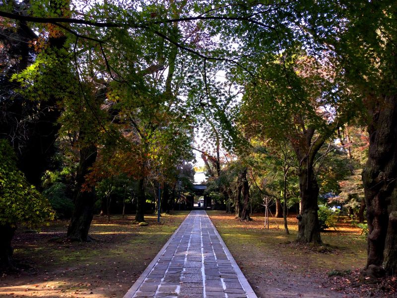 Tozenji in Matsudo City with a hint of autumn colour [SPOT REPORT] photo