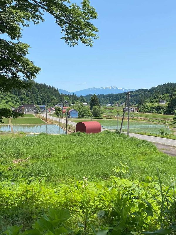 Pros and cons of buying a house in rural Japan photo