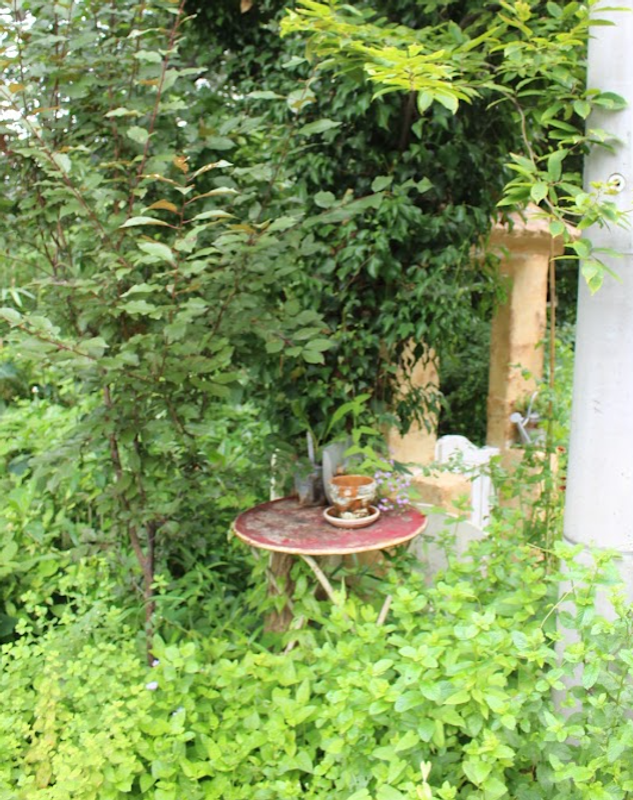 Microseason: Crow-dipper Plants Grow photo