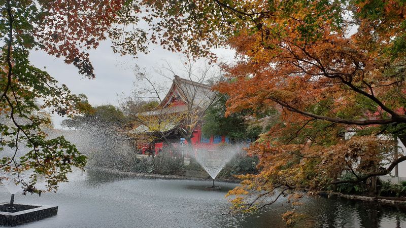 A walk through Inokashira Park in Autumn [SPOT REPORT] photo