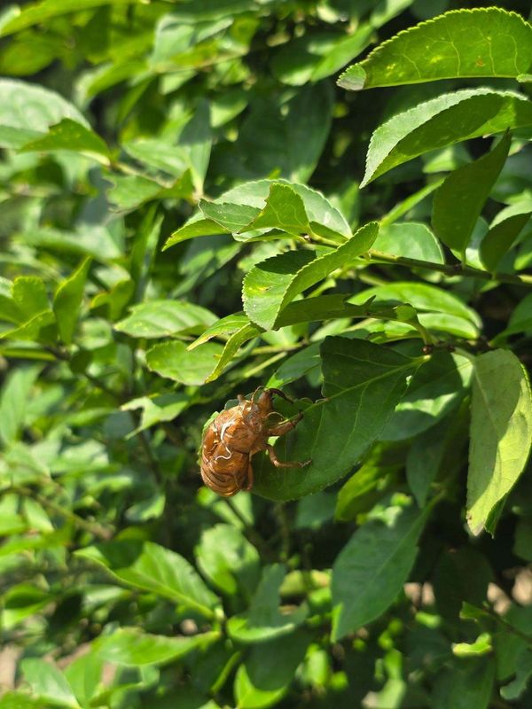 What does it take to start treating extreme heat seriously? photo