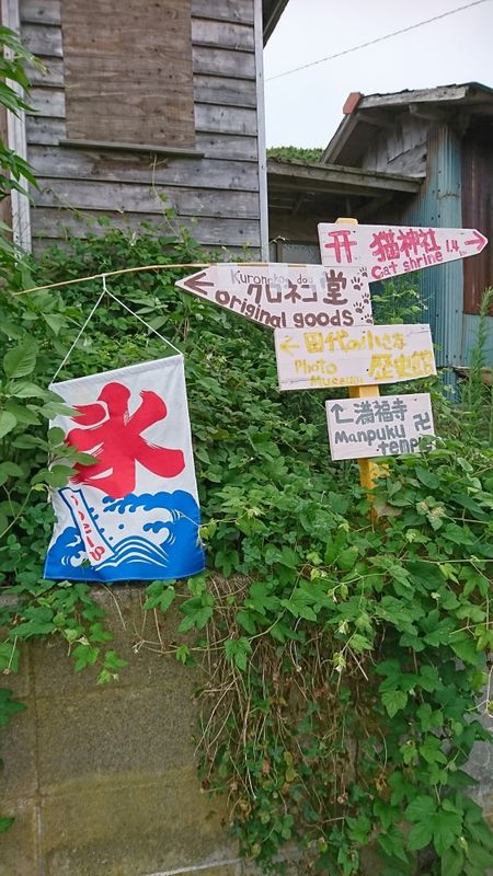 A Day Trip to Tashirojima Cat Island, Miyagi photo