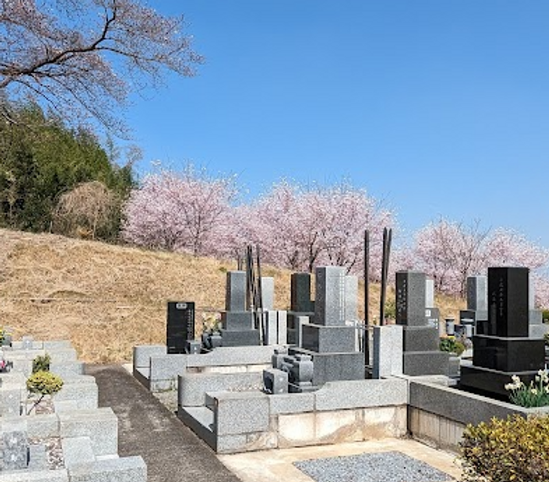 Spring equinox and spring higan photo