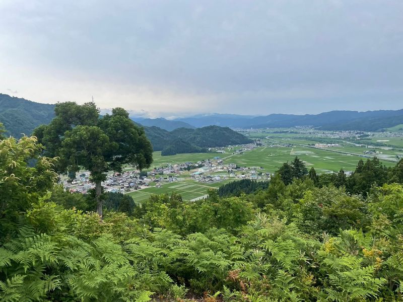 Walkability in Japan heavily location-dependent, according to a new study! photo