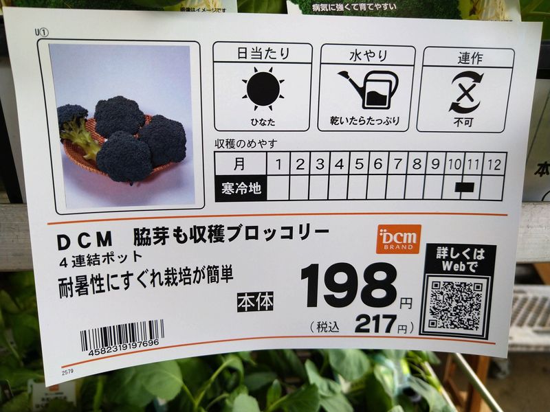 How to Plant Well in your Balcony Garden in Japan photo