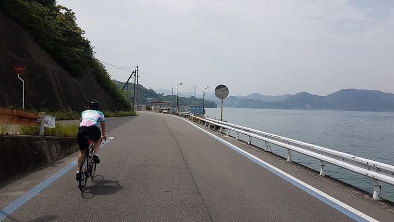 Nearly 68% of survey respondents worried about new cycling rules photo