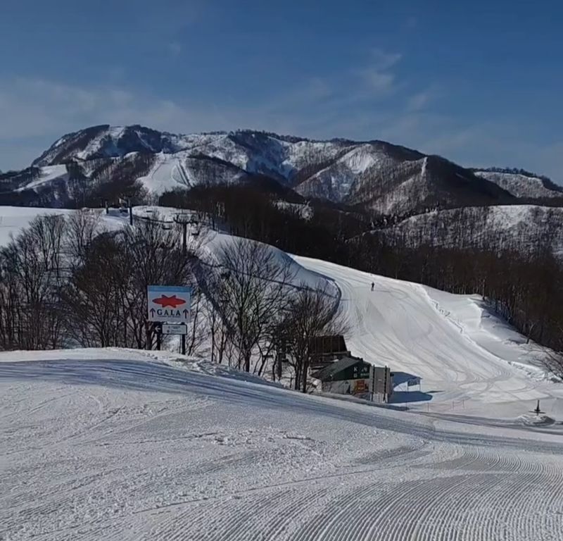 Things I didn't try early on: Winter sports  photo
