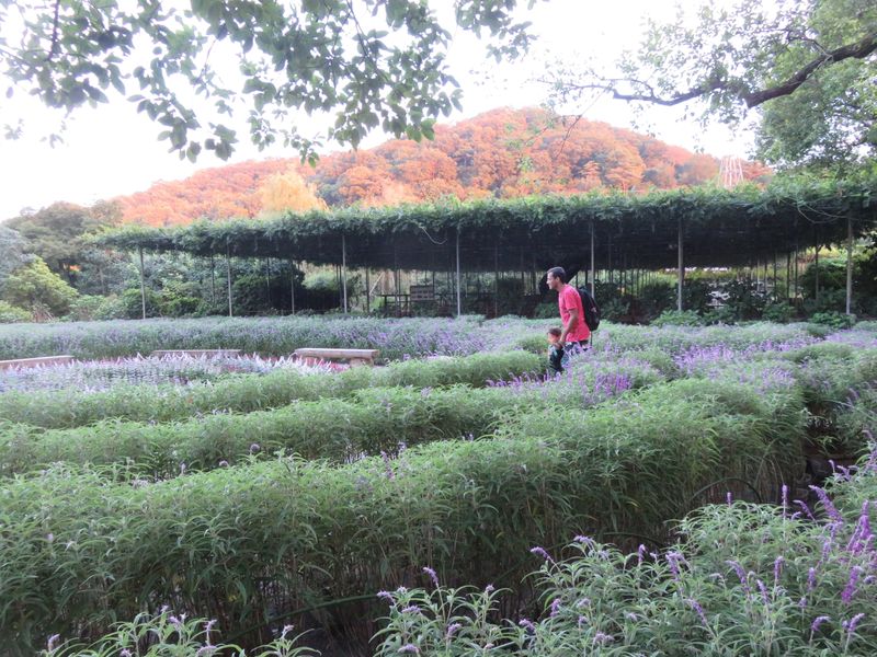 Ashikaga Flower Park in late summer photo