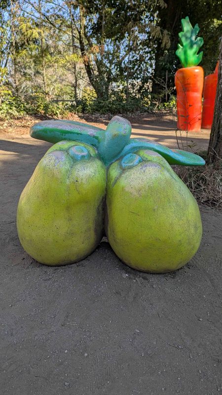 A monthly dedication to fruit photo