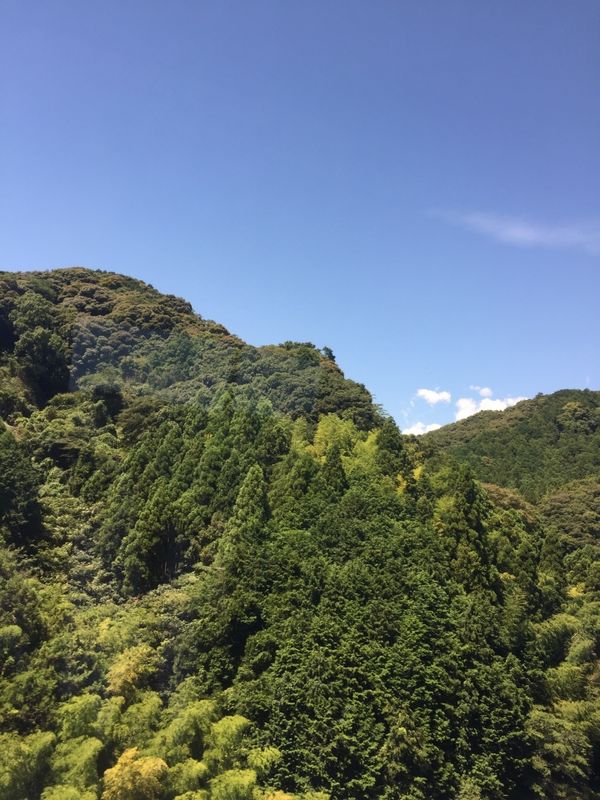 A DAY TRIP TO SHIZUOKA photo