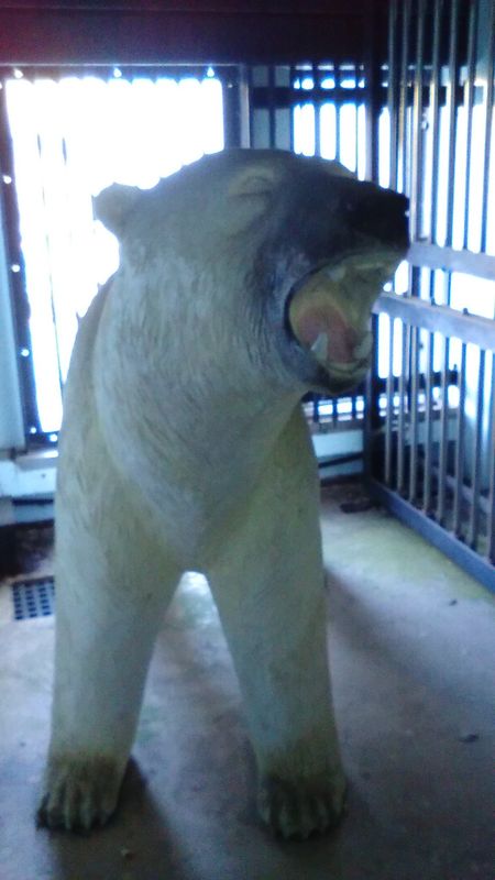 Nogeyama Zoo's tribute to polar bears photo