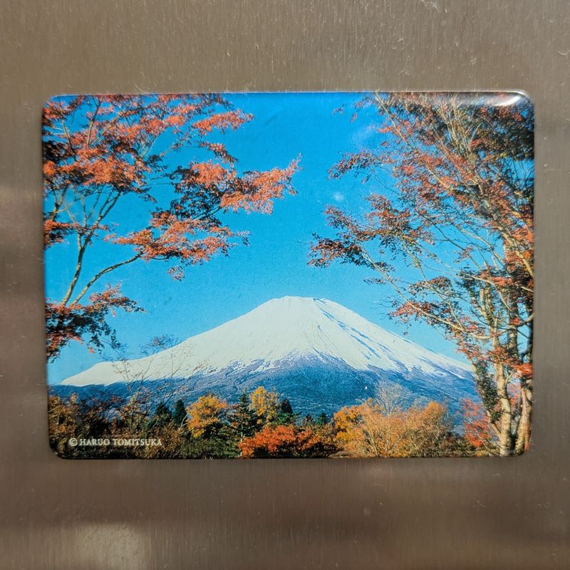 A day for magnetism! photo