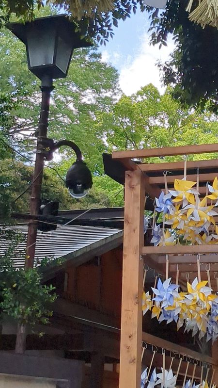 Why Japan has a "Security Camera Day" on July 8th photo
