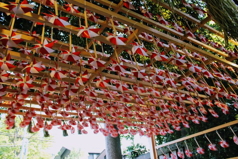 2019 Pinwheels at Kawagoe Hikawa Shrine photo