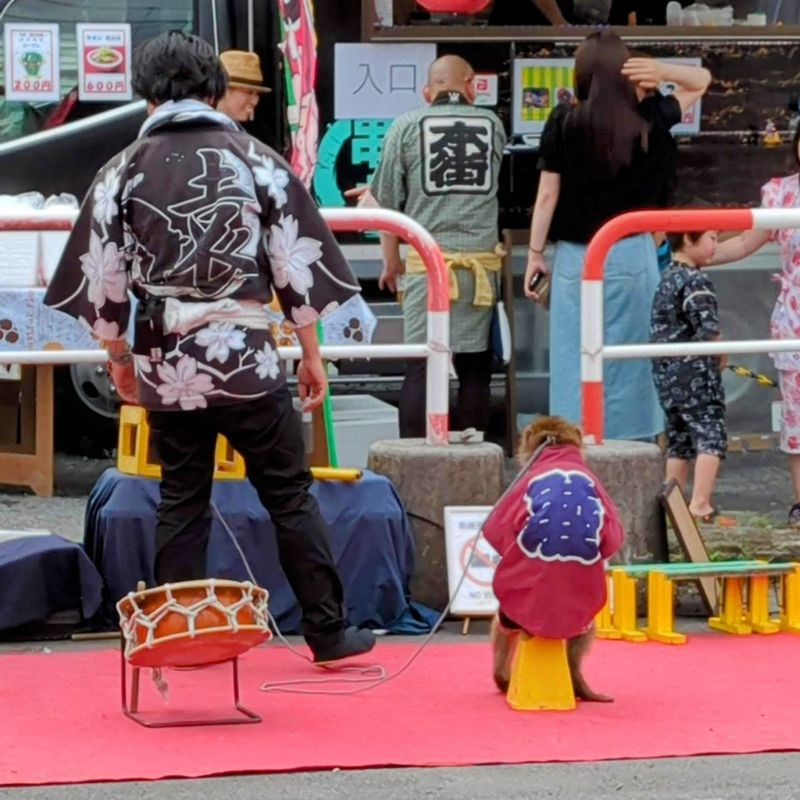 Entertainment at Japanese festivals: monkey shows photo