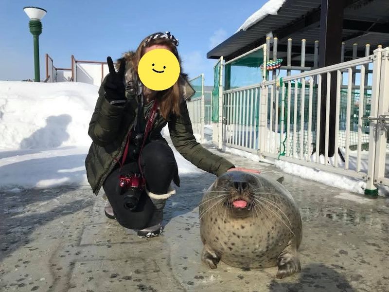 My dream job in Japan photo