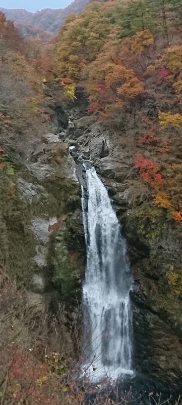 Top 5 Nature Spots for Any Season in 2020 Japan photo