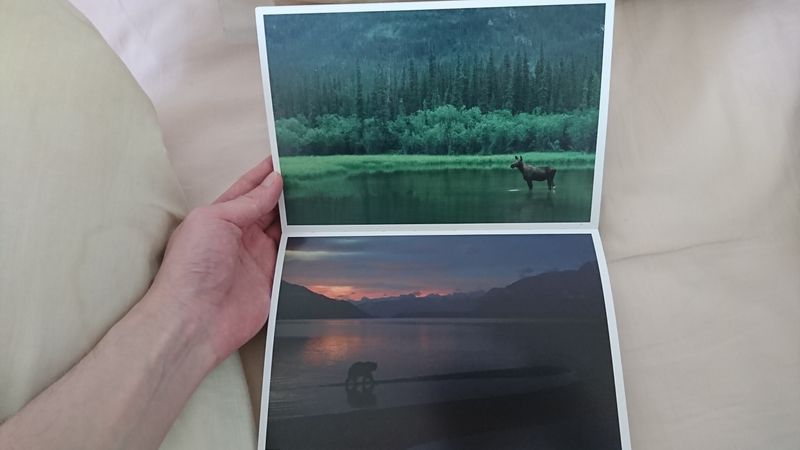 Book Review: Potsun - Animal Photobook photo